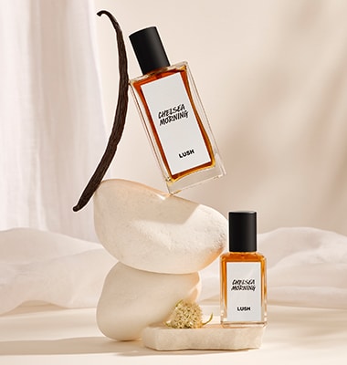 Lush Love is in the air Frühlingsdüfte bei Dolce Vita News